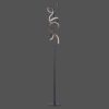 CL2016 Aquarius FLOOR LAMP (BLACK)