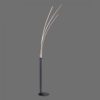 CL2006 Vela Black Floor Lamp