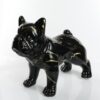 CS185 BILLY (Black) Standing Bulldog Splash