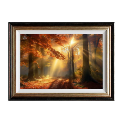 CC1396 Sunbeams in The Forest 114 x 84 cm